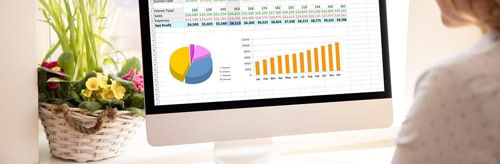 shot of a person using their computer with their screen showing an accounting software interface