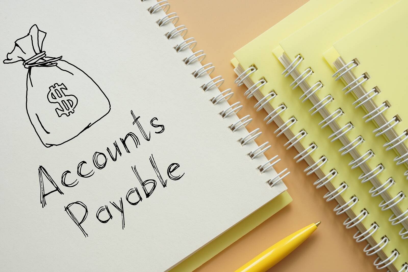 Accounts Payable Software For Small Businesses